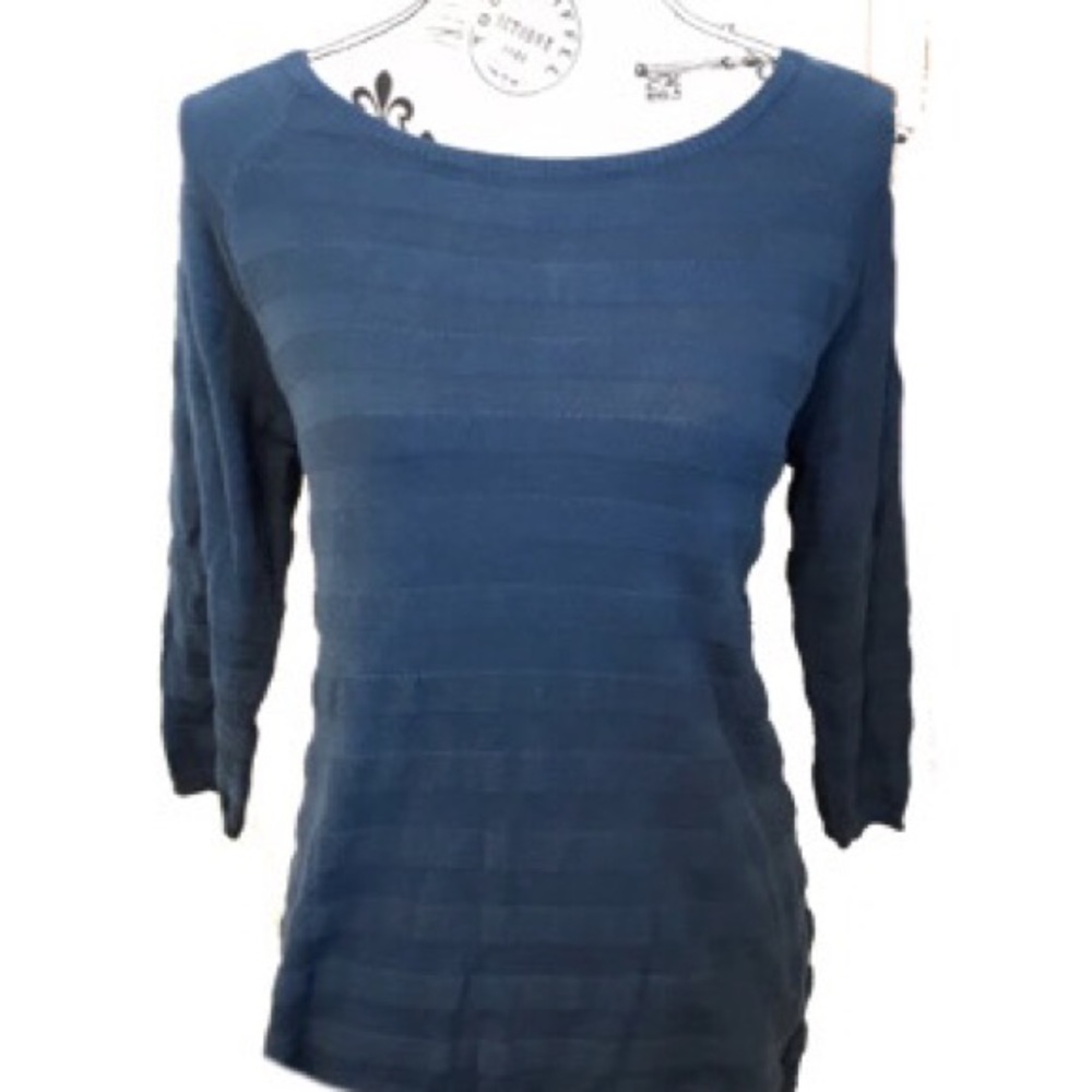 Blue Verve Ami medium sweater
